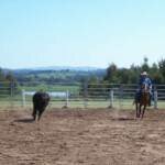 Australian National Field Days - Orange Central West NSW
