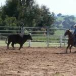 Australian National Field Days - Orange Central West NSW